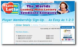 join a lottery syndicate.